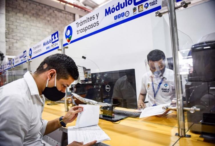 trámites Secretaría de Movilidad de Ibagué