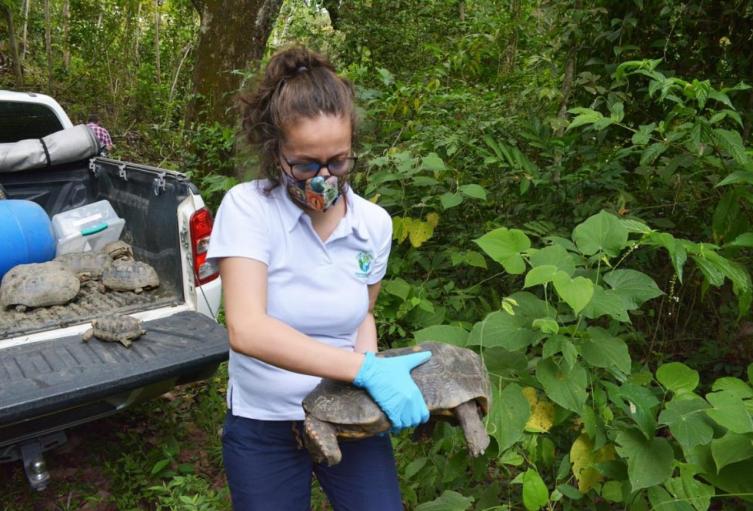 Rescate de animales por Cortolima