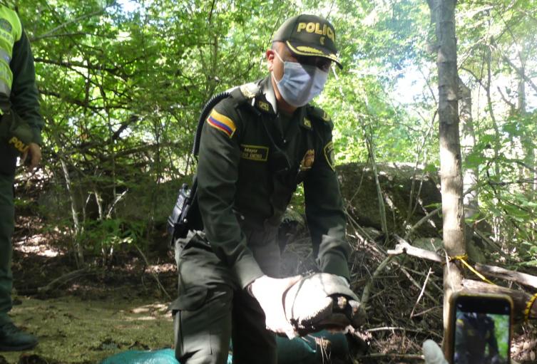 Animales, Liberación, Policía, Coorpamag, Santa Marta, Magdalena