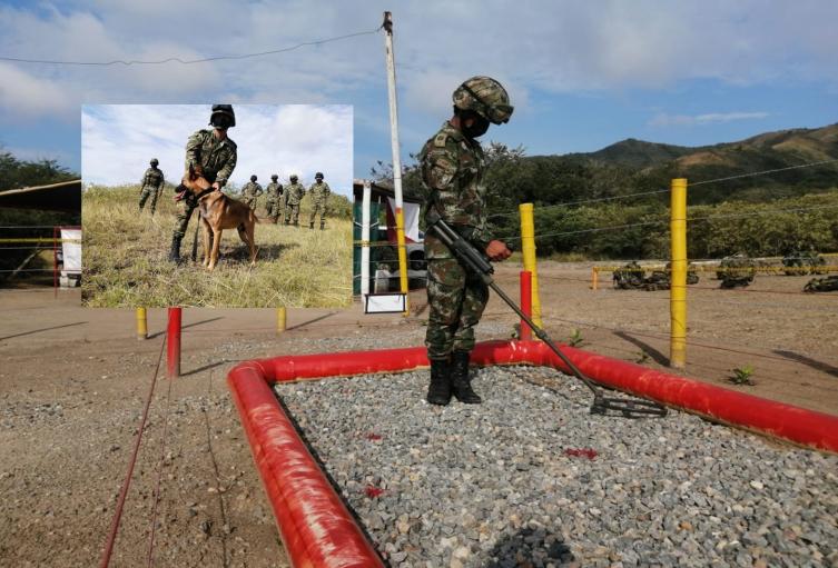Desminadores se preparan para recuperar territorios vetados por minas antipersonal