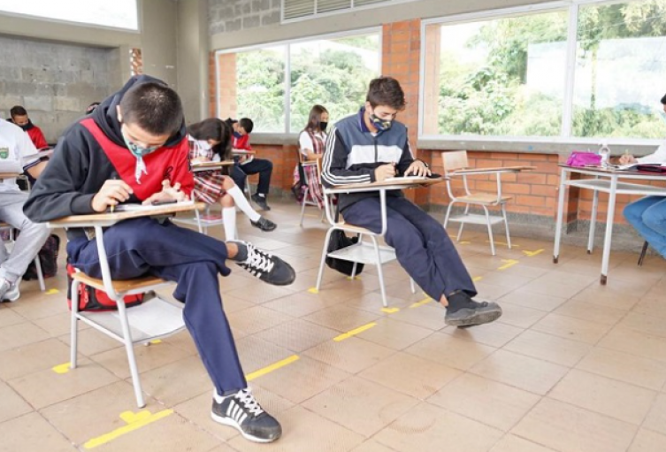 Colegios profesores
