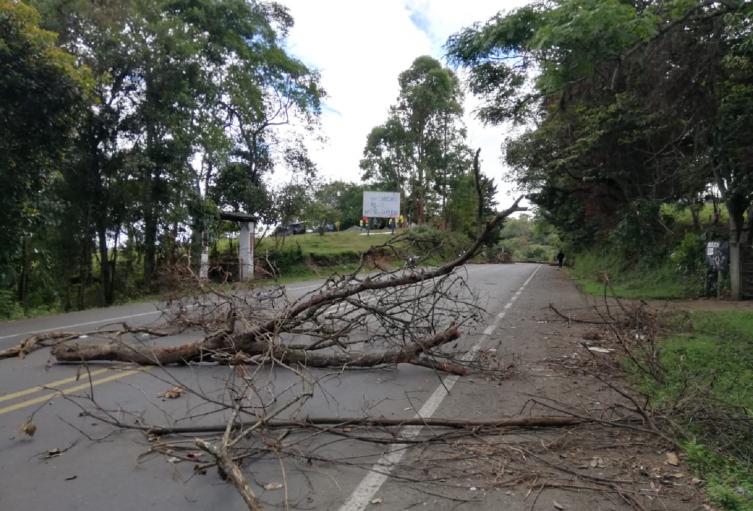 Vía panamericana Cauca