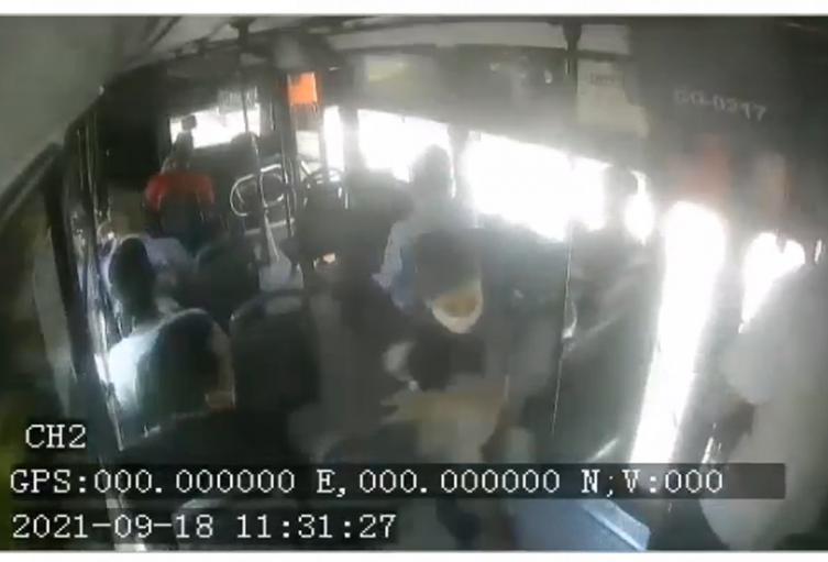 robo de perrito en buseta Ibagué