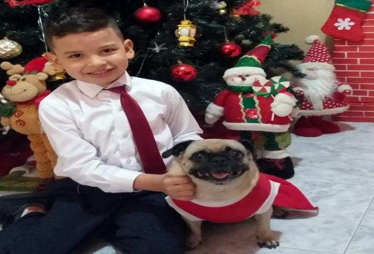 Sasha, perrita Pug en Ibagué 