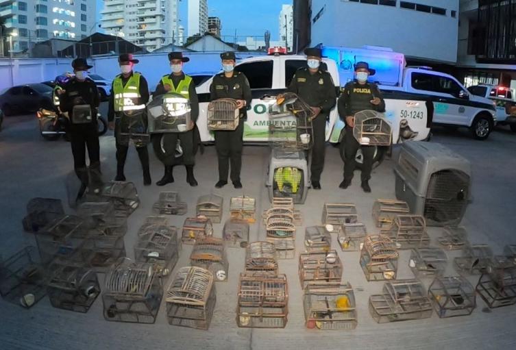 con un valor ecológico de más de 500 millones de pesos