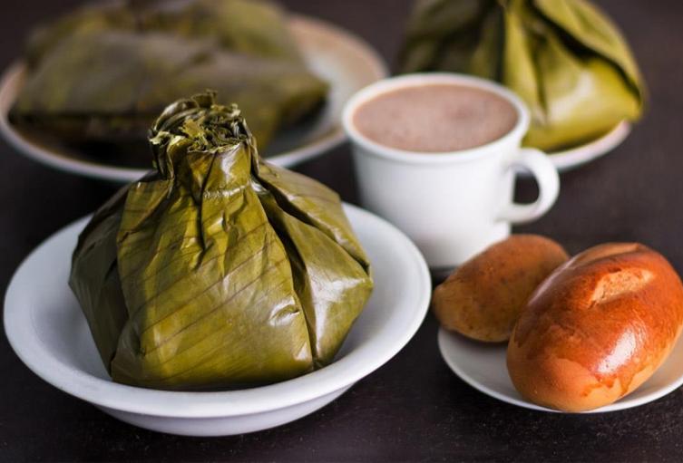 Tamal tolimense