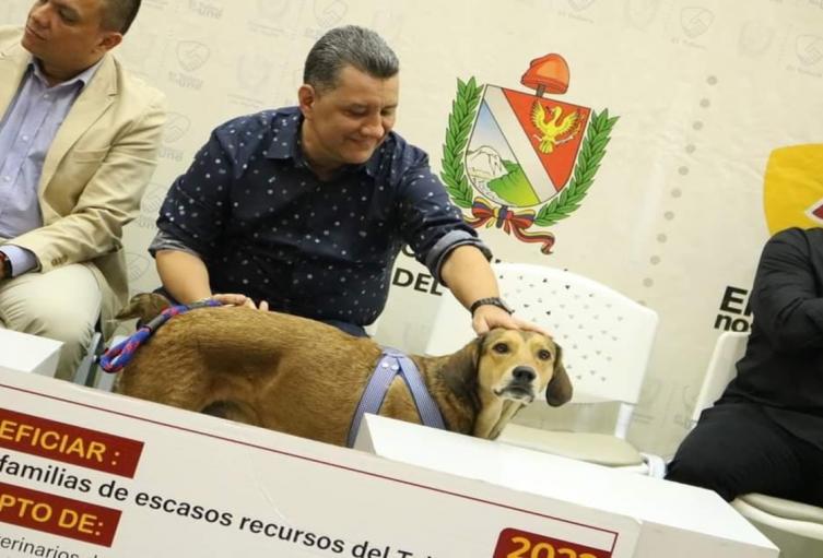 Gobernador - Hospital veterinario del Tolima