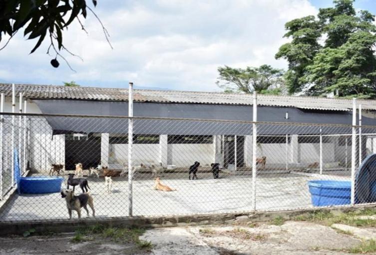 Centro de Antención y Protección Animal CAPA