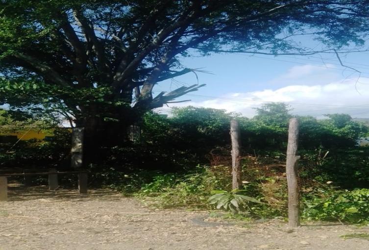 Basura en Venadillo