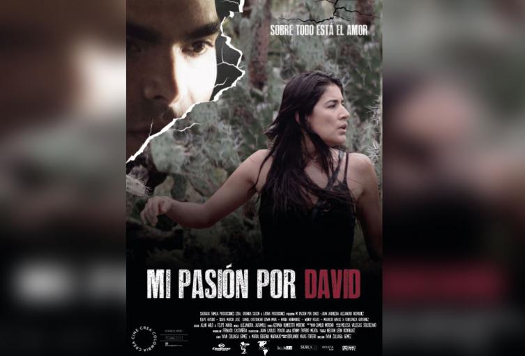 Mi pasión por David