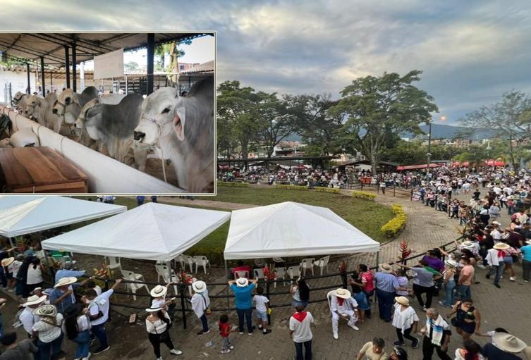 55° Feria Bovina grado A y Show Equino