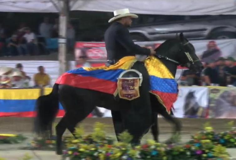 Caballo Ganador Payandé Caballo Ganador Payandé