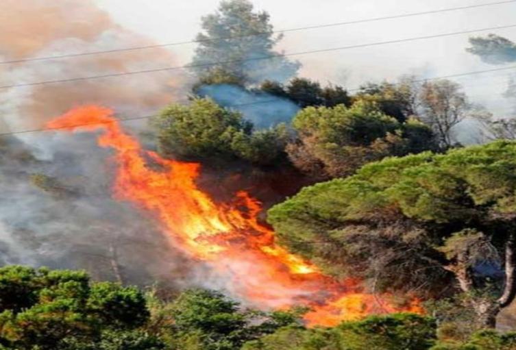 Alerta Roja Ideam por incendios forestales