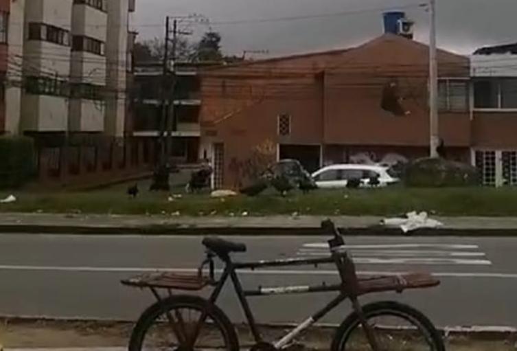 Denuncian situación insalubre frente a Pechugones de Los Arrayanes