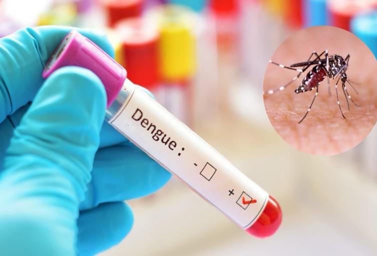 Cifras de dengue