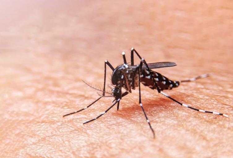 Dengue en Colombia 