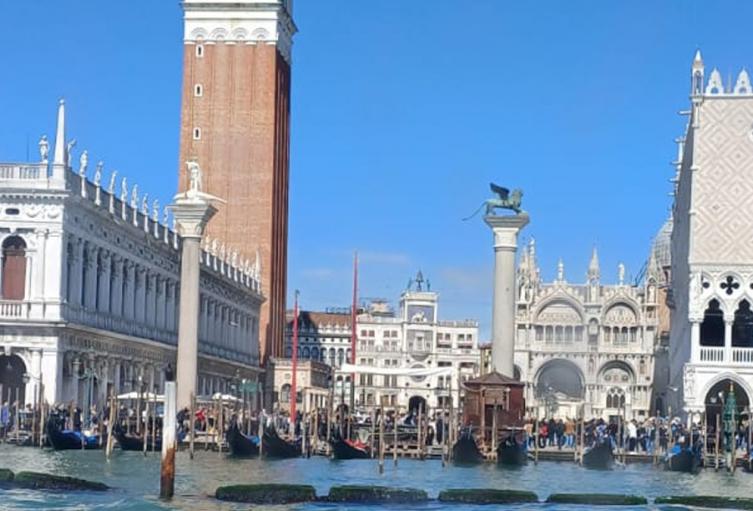 venecia marcelo 2024