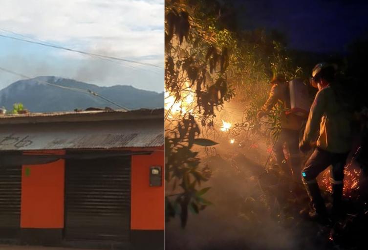 Controlan incendio forestal entre Melgar, Cunday y Carmen de Apicalá