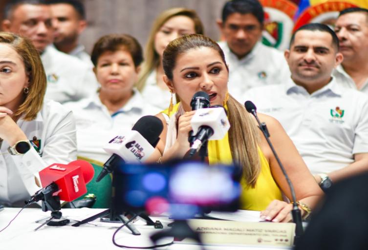 Gobernadora del Tolima - Fallo 