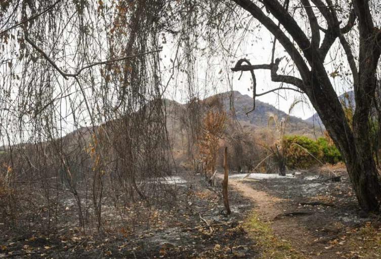 Extinguen incendio en Natagaima | Apagan incendio en Natagaima | Emergencia Natagaima | Septiembre 2024