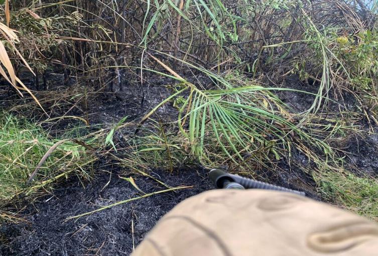 Incendios forestales Ibagué
