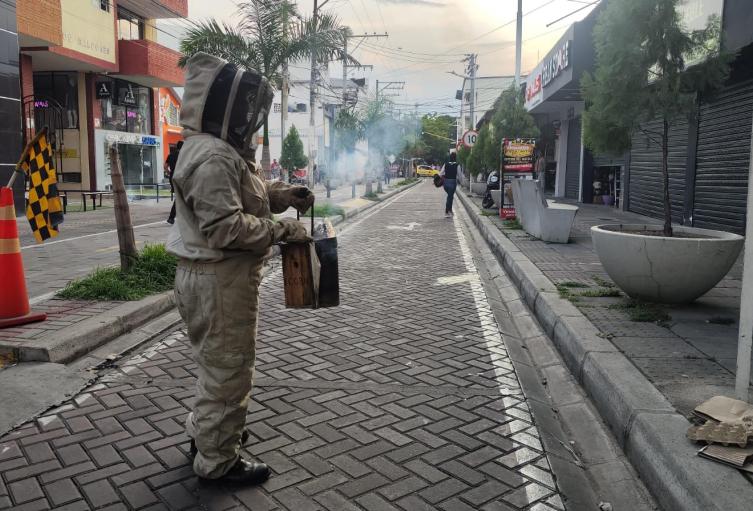 Ataque Abejas Neiva