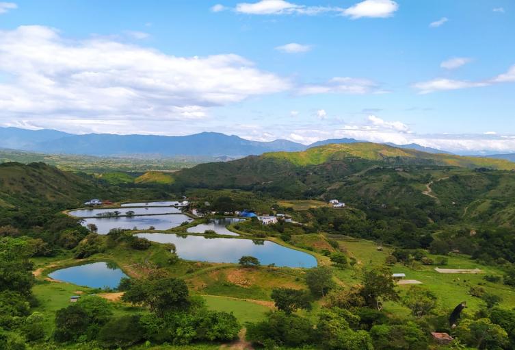 Agroturismo la apuesta turística que se fortalece en el Huila  