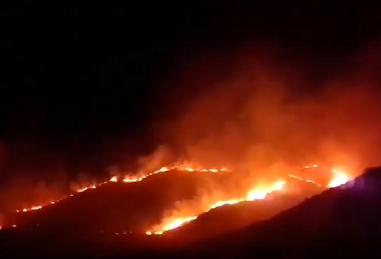 Autoridades atienden la emergencia