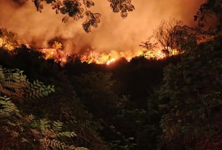 Incendio forestal en Prado | Emergencia Prado | Incendio Prado | Enero 2025