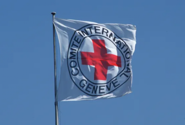 Cruz Roja Internacional, bandera