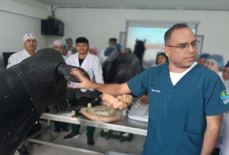 Decano con simulador