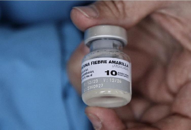 Vacunación fiebre amarilla