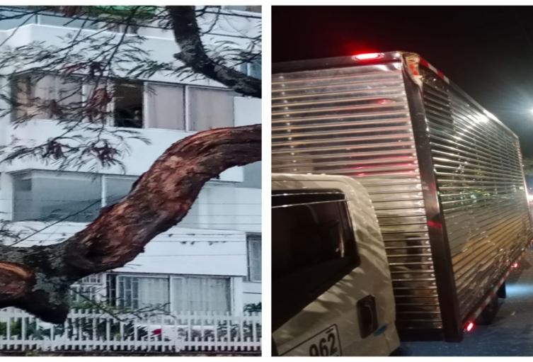 Árbol cayó sobre un camión Ibagué