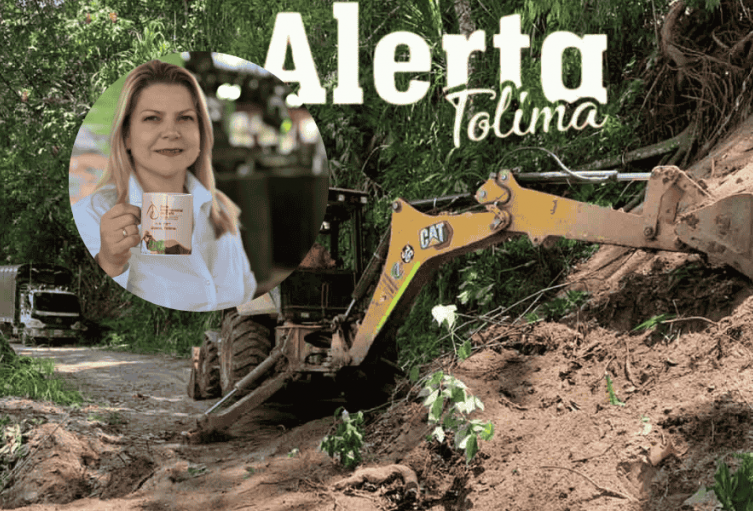 ola invernal en el Libano