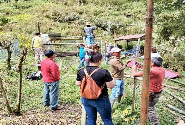 jovenes campesinos jovenes campesinos