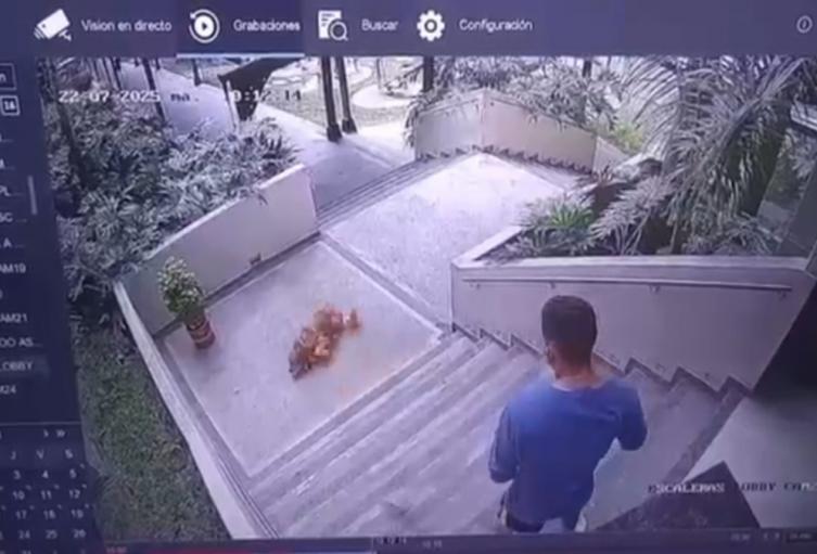 Caso de Maltrato Animal | Hombre Golpeo Animal | Maltrato Animal | Julio 2025