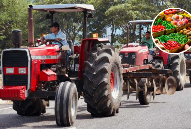 Líder transportador advierte afectaciones sobre los alimentos debido al paro arrocero