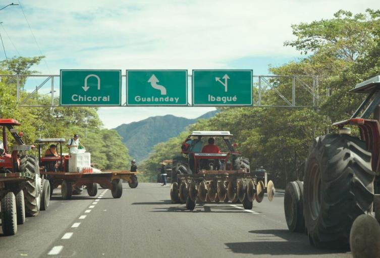 Paro Arrocero | Arroceros Tolima | Gremio Arrocero | Julio 2025