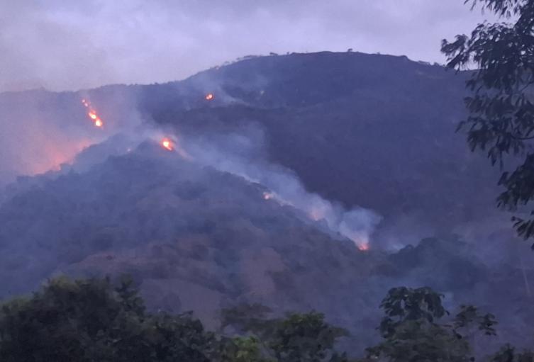Alerta roja en el Tolima por incendios