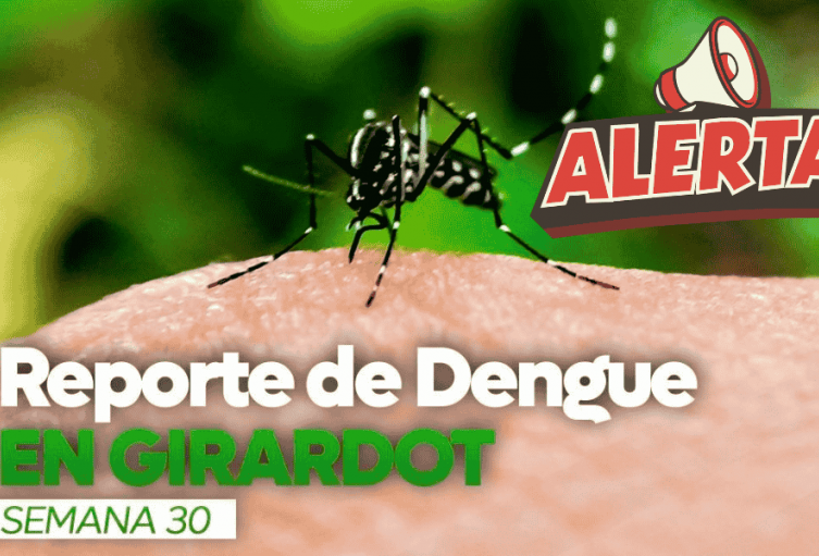 cifras dengue cifras dengue