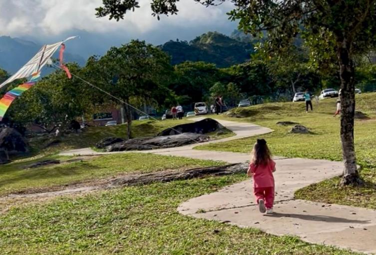 Cometas Ibagué