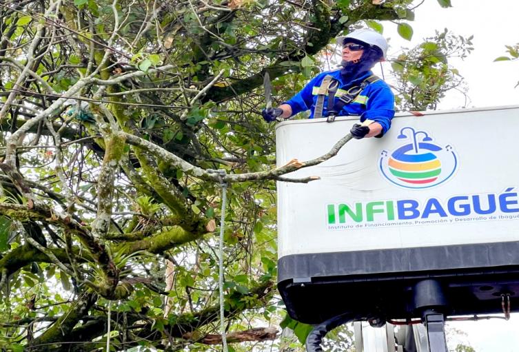 Corte árboles Infibagué