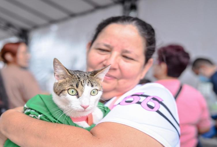 Gatito