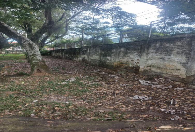 Sin canchas en colegios de Ibagué 