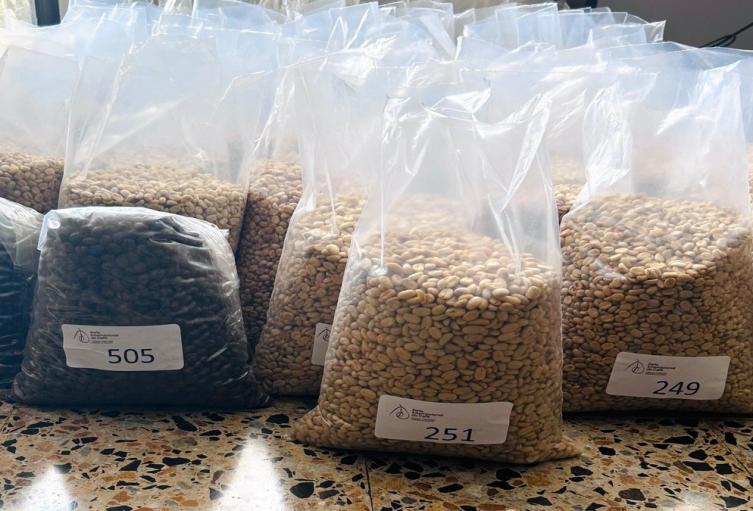 Auditores de Café 