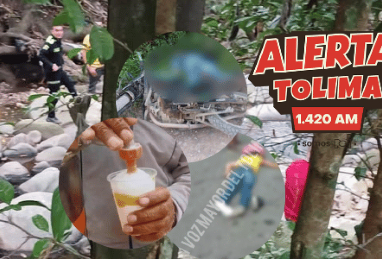 Las 5 judiciales de Alerta Tolima Las 5 judiciales de Alerta Tolima