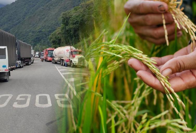 Productores e industriales logran acuerdo histórico en el precio del arroz