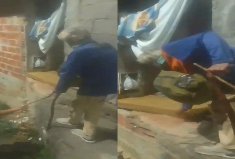 Abuelito La Gaviota