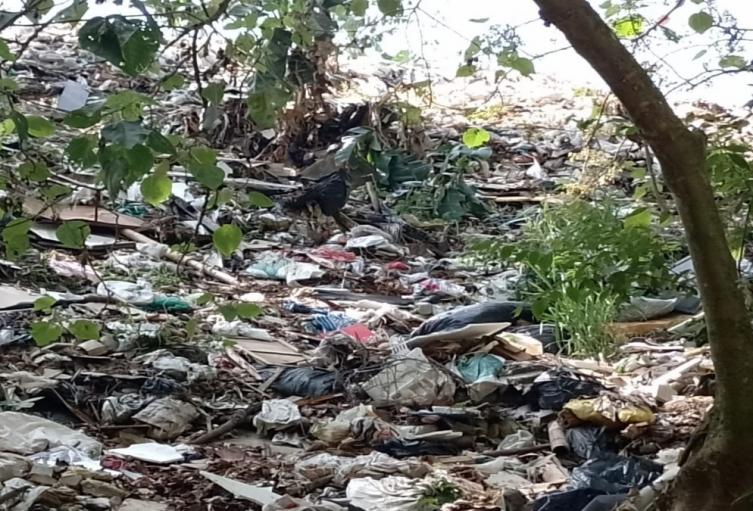 Contaminación Hato de la Virgen.