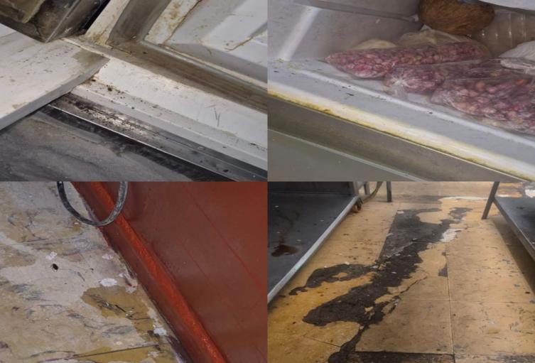 Cucarachas en restaurantes de Ibagué 